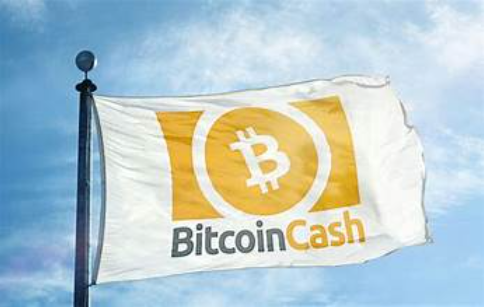 Bitcoin Cash app