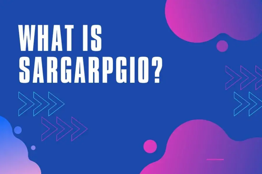 What is Sargarpgio